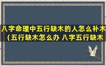 八字命理中五行缺木的人怎么补木（五行缺木怎么办 八字五行缺木怎么补）